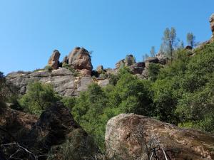 Pinnacles NP, CA