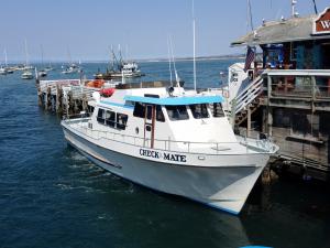 Our boat